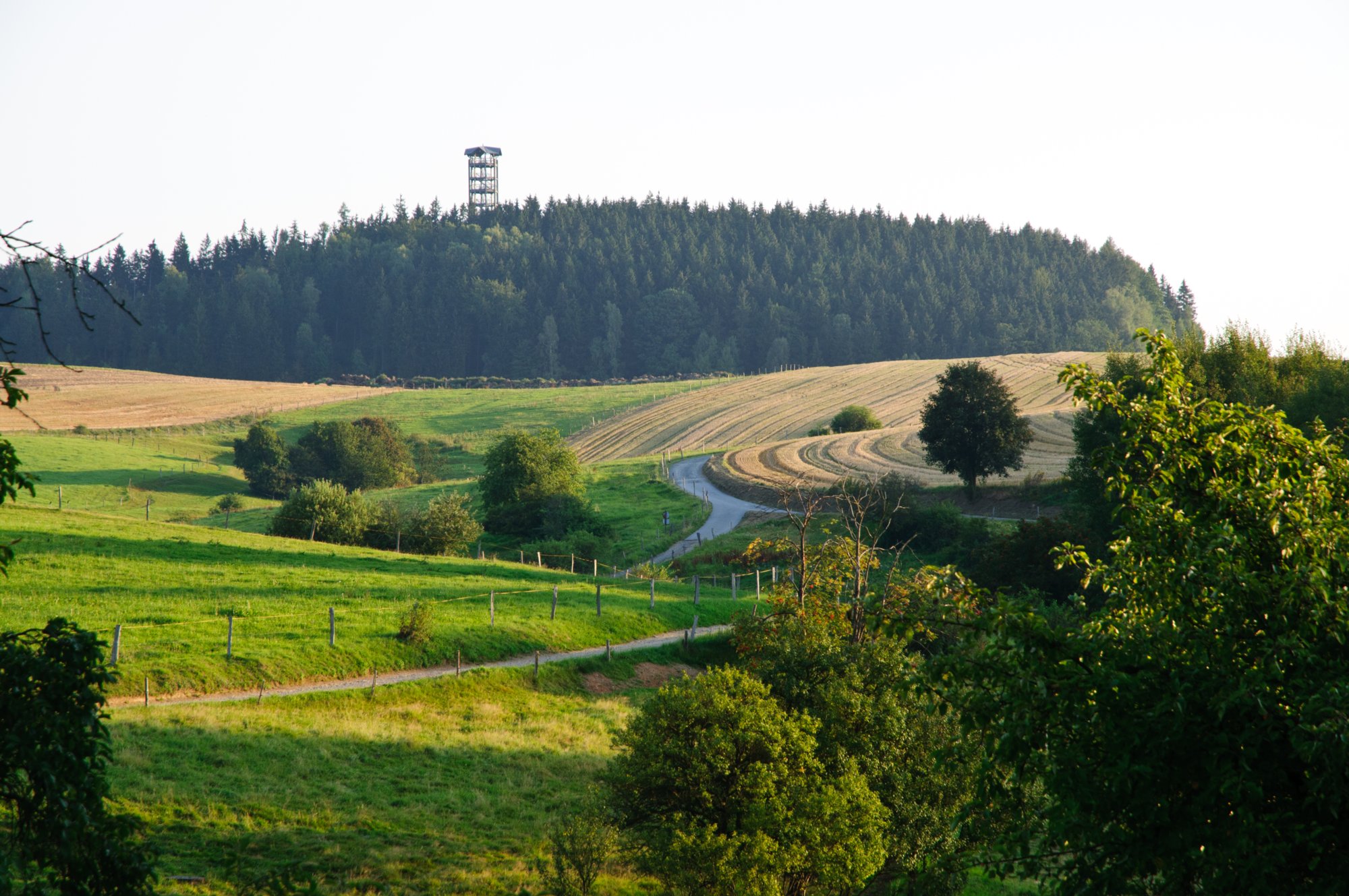 Sächsische Schweiz 2009 