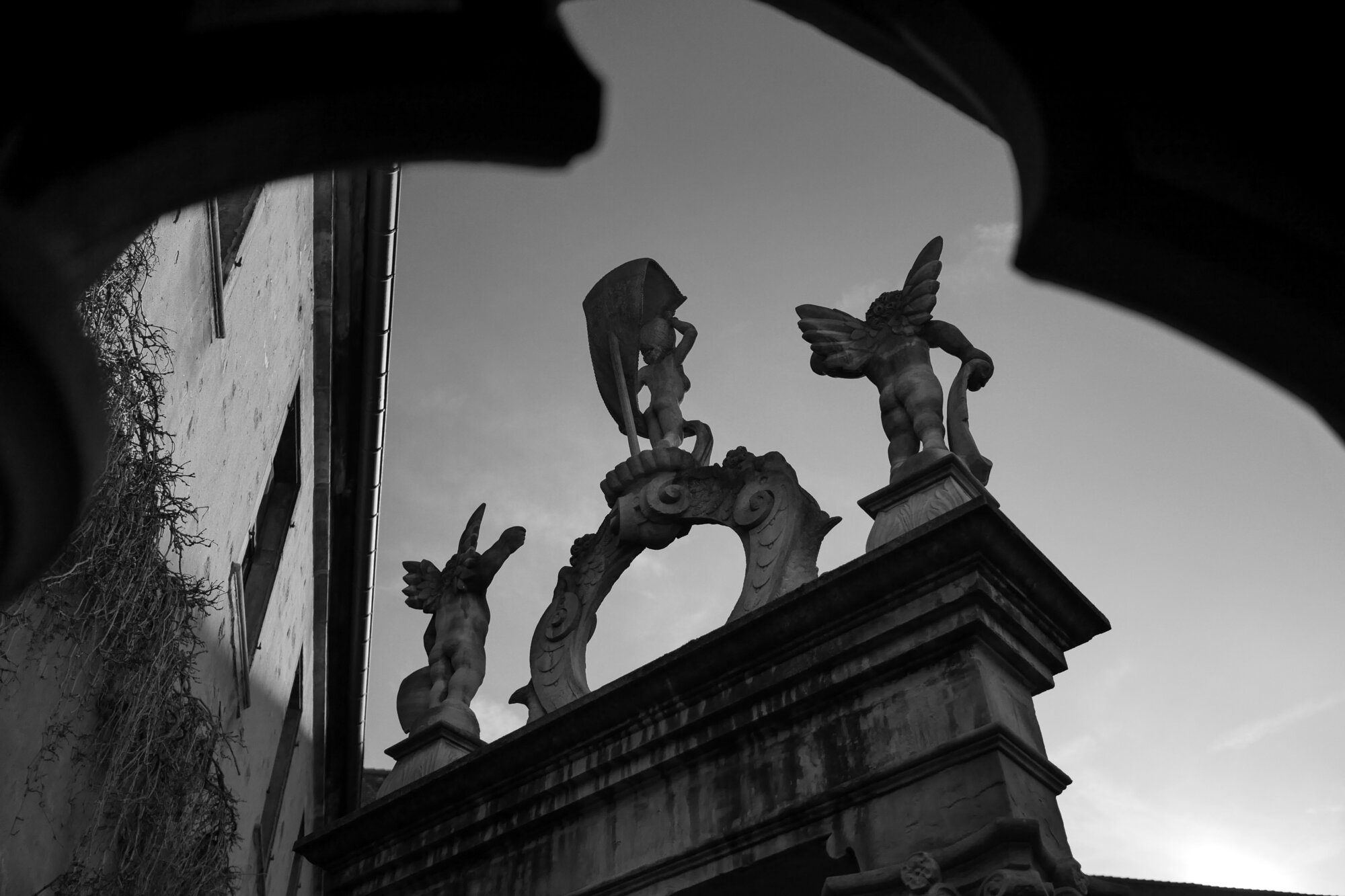 P1026769 