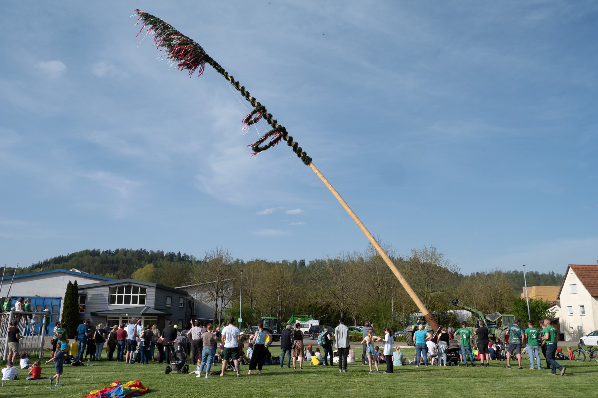 20240430_maibaum_261 