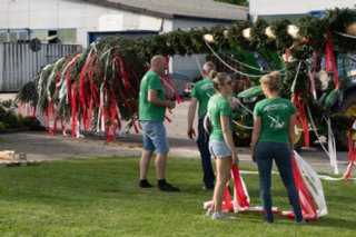 20240430_maibaum_163