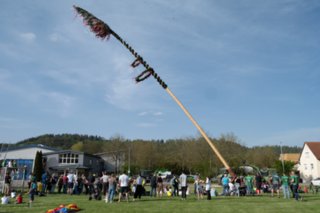 20240430_maibaum_261