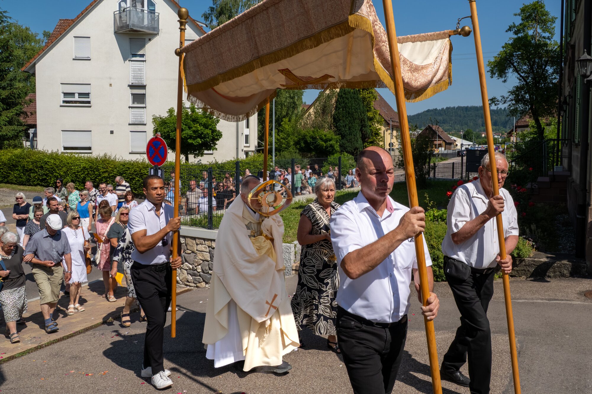 P1066287 