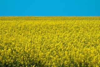 schoepfung_026