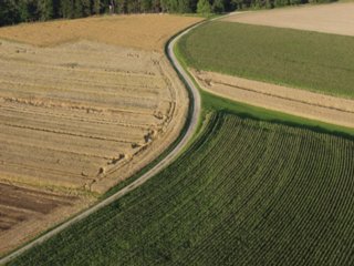 schoepfung_027