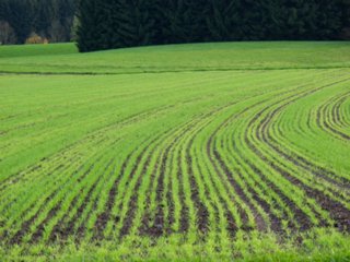 schoepfung_063