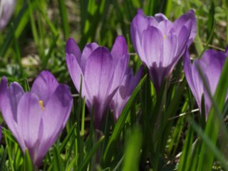schoepfung_078