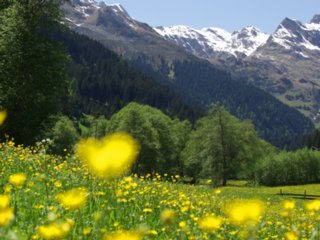 schoepfung_081