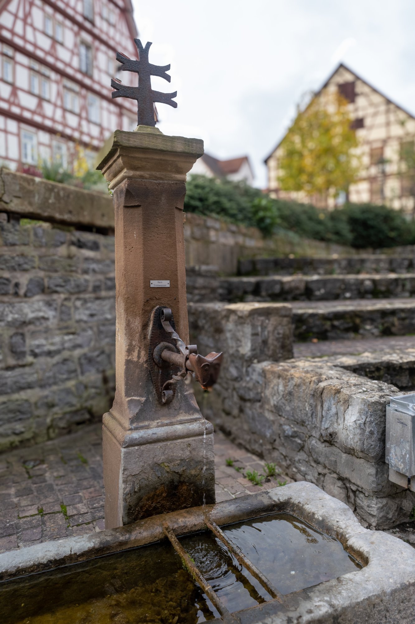 20231103_bad_wimpfen_014 