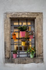 20231103_bad_wimpfen_222_edit