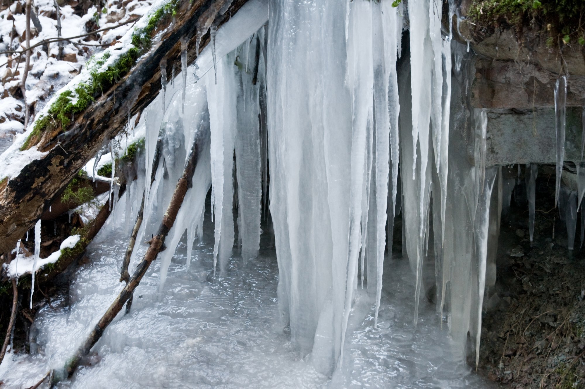 20090113_0011 