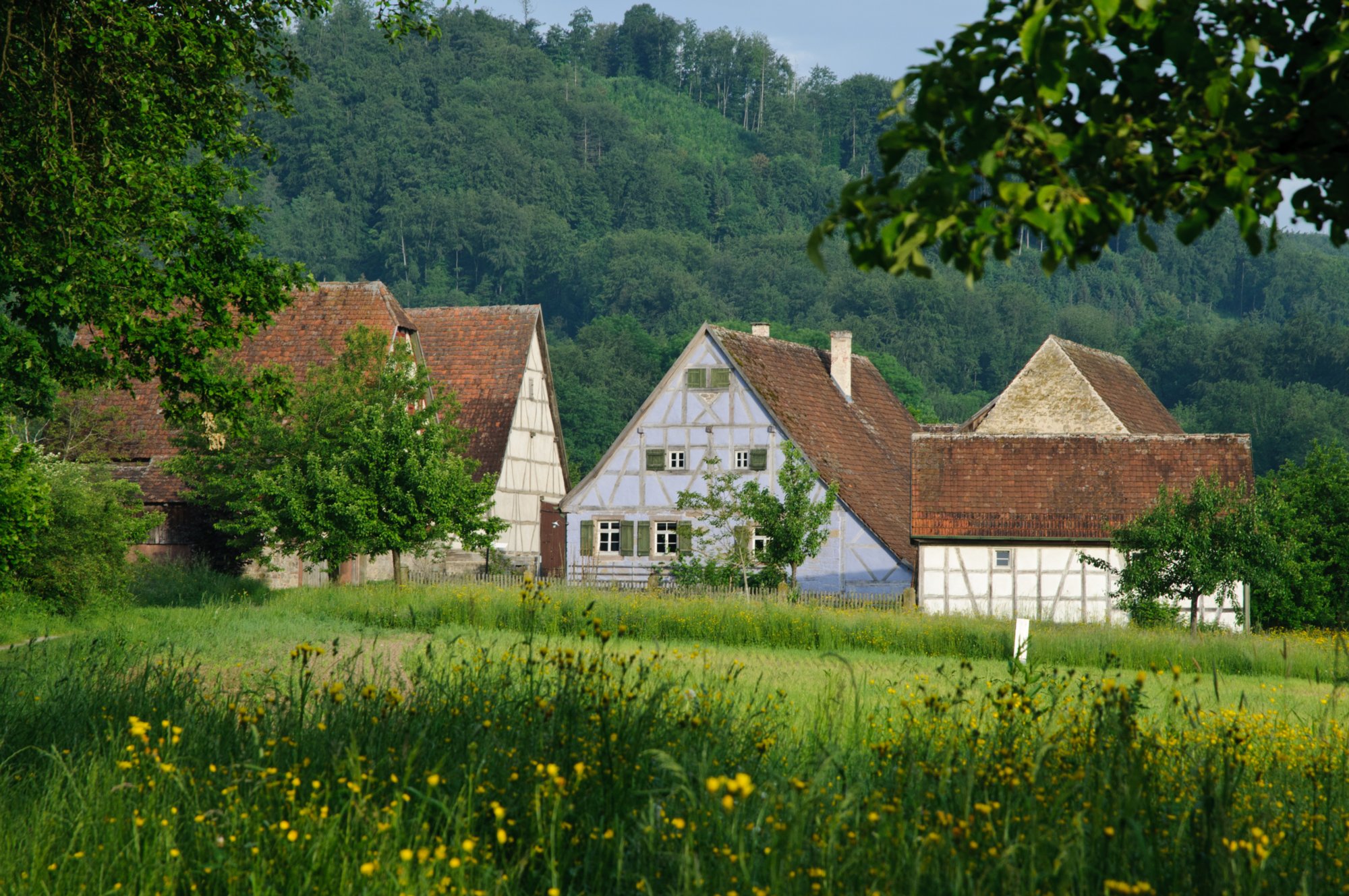 Freilandmuseum Wackershofen Freilandmuseum Wackershofen im Mai.