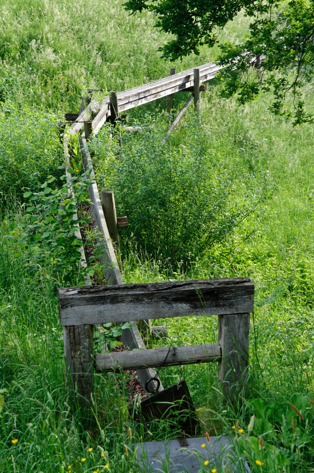 Freilandmuseum Wackershofen Freilandmuseum Wackershofen im Mai.