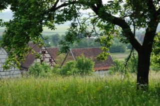 20090526_0088