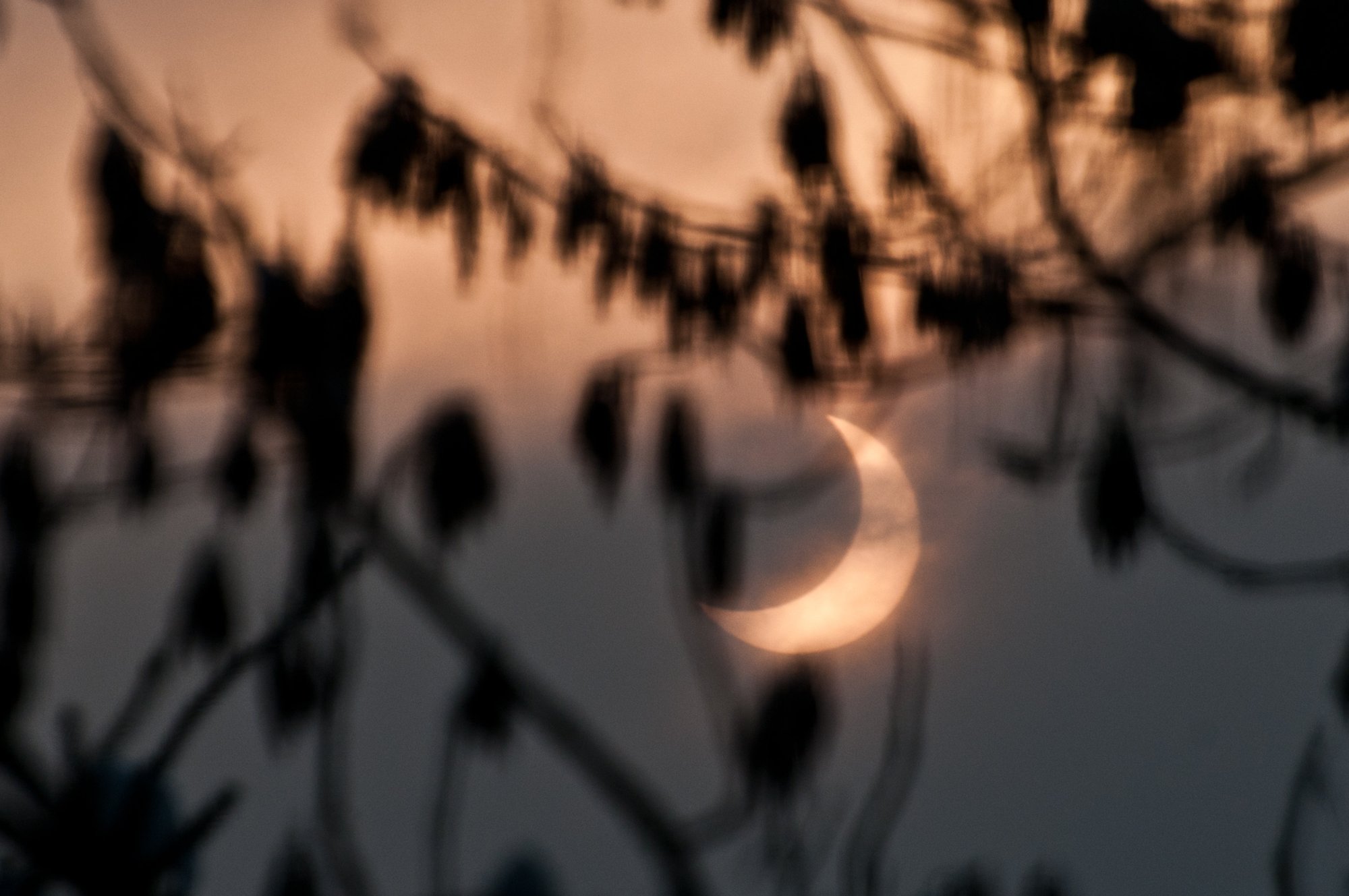 Sonnenfinsternis Partielle Sonnenfinsternis am 4. Januar 2011 in Oberrot. Die Sonne geht an diesem Dienstag (4. Januar 2011) als Sichel über Deutschland auf: Der Mond verdeckt einen Teil der Sonnenscheibe, es kommt am Morgen zu einer partiellen Sonnenfinsternis. Das Schauspiel ist bei klarem Himmel von Nordschweden bis Äthiopien zu beobachten. In Deutschland könnte dichter Morgendunst den Blick trüben. Aber es gebe auch viele Wolkenlücken, sagte Meteorologe Helmut Malewski vom Deutschen Wetterdienst. "Man muss ein bisschen Glück haben." Astronomen warnen davor, ohne spezielle Sonnenfinsternis-Schutzbrillen direkt in die Sonne zu schauen - schwere Augenschäden bis hin zur Erblindung drohen. Angeknabbert Die partielle Sonnenfinsternis begann um 7.40 Uhr (MESZ) in Algerien. In Deutschland stieg die Sonne bereits "angeknabbert" über den Horizont. Der Moment der größten Bedeckung schwankte je nach Ort zwischen 9.18 Uhr (München) und 9.27 Uhr (Berlin) - der Mond verdeckte dann zwischen 69 (München und Frankfurt/Main) und knapp 74 Prozent (Hamburg und Berlin) der Sonnenscheibe. Um 10.52 Uhr ist das Himmelsschauspiel in ganz Deutschland vorüber. Russland, Kasachstan, Nordwestchina und die Mongolei erleben eine partielle Finsternis zu Sonnenuntergang. Um 12 Uhr (MESZ) verlässt der Halbschatten des Mondes die Erde. Drei Mal wird es in diesem Jahr noch eine partielle Sonnenfinsternis geben: am 1. Juni, 1. Juli und 25. November. Doch keins der drei Ereignisse ist von Mitteleuropa aus zu sehen. Dafür werden sich totale Mondfinsternisse am 15. Juni und 10. Dezember ereignen, die auch in Deutschland zu beobachten sind. Quelle: http://www.heute.de/ZDFheute/inhalt/19/0,3672,8183859,00.html