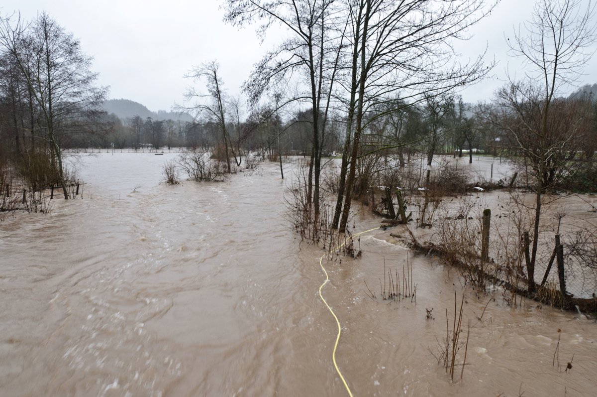 Hochwasser am 13. Januar 2011 Bei der Rot-Brücke beim Farrenstall.