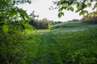 20120504_weinbergrunde_040