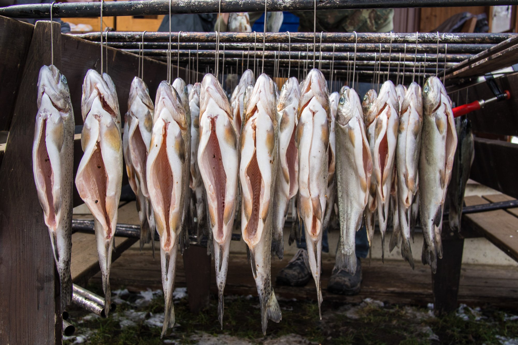 20130328_fischraeuchern_002 