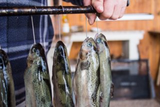 20130328_fischraeuchern_004