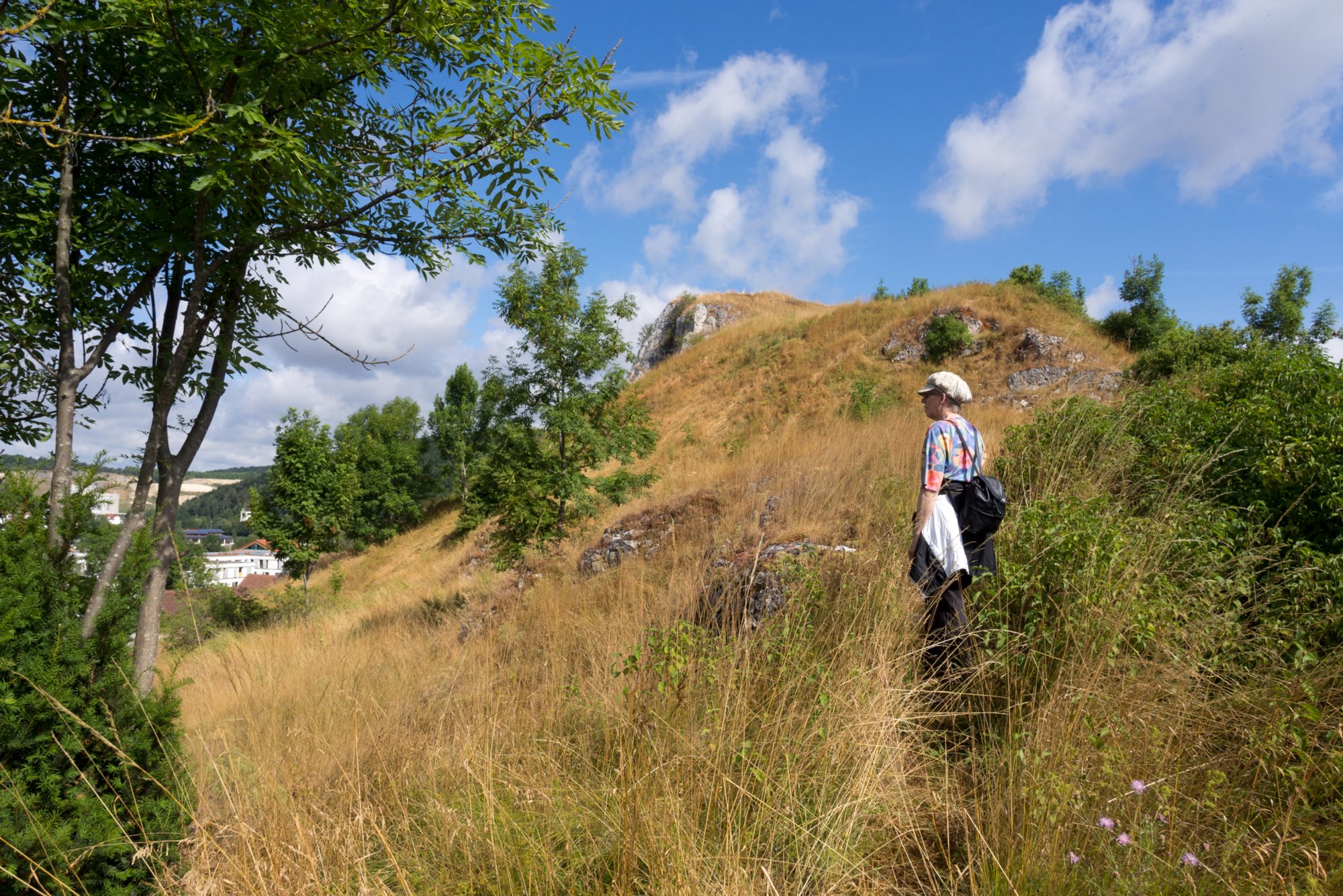 Löwenfels Aufstieg zum Löwenfels, der Mitten in Blaustein wie ein Felsen in der Brandung wirkt. Nur, dass die Häuser das Meer sind.