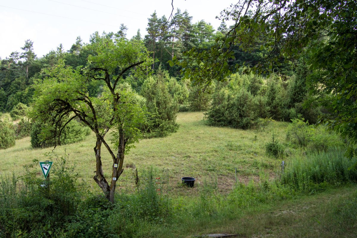 Start beim Wanderpartplatz unterhalb des Spatzennests Im kleinen Latertal. Route: Parkplatz an d. Weidacher Heusteige - Naturfreundehaus "Spatzennest" - Parplatz Weidacher Hütte - Hof Hohenstein - Lautern m. Lauterursprung - Gasthaus Krone - Ausgangspunkt