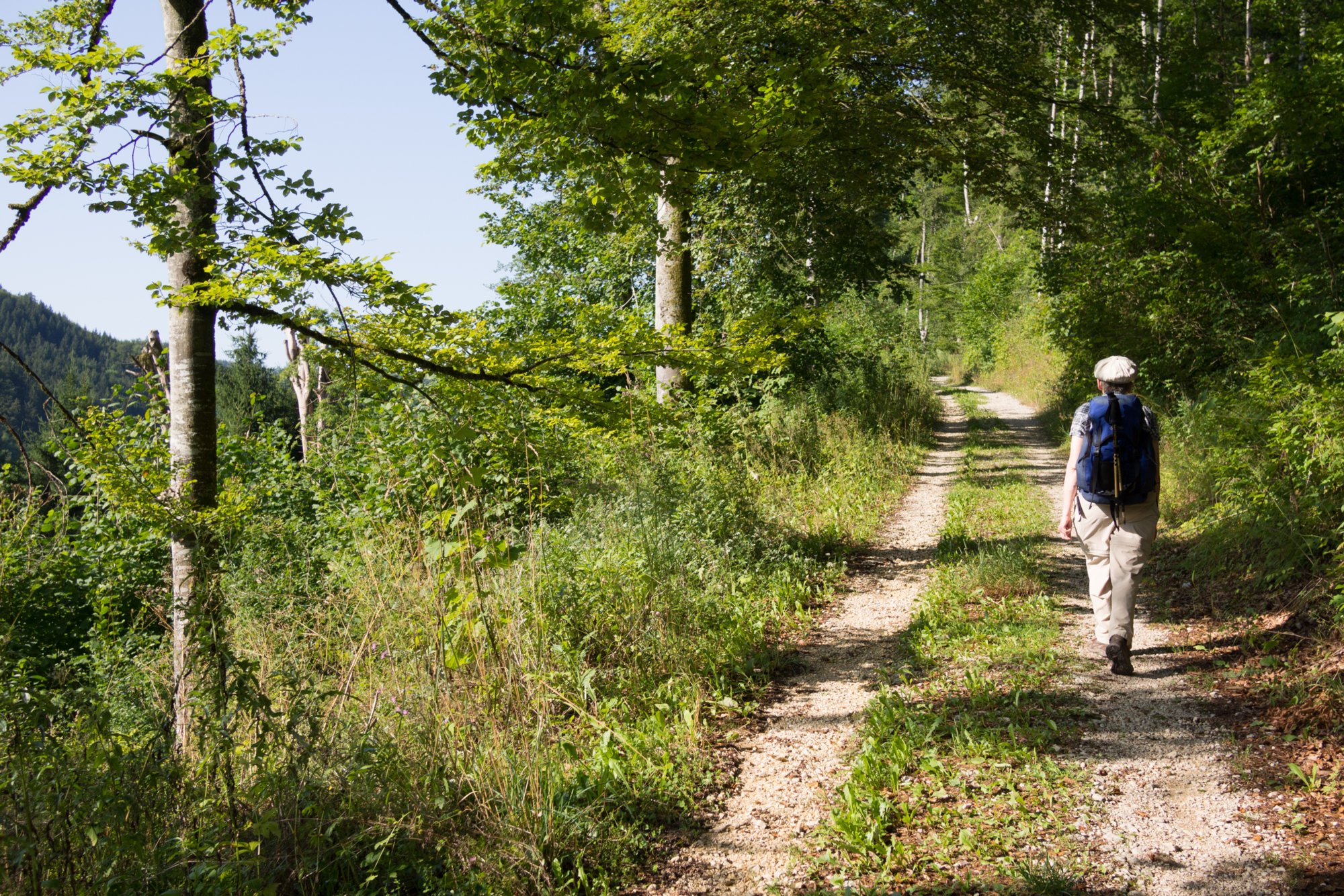 Aufstieg zum Knopfmacherfels Wanderung im Oberen Donautal: Route: Start am Kloster Beuron - Knopfmacherfels - Jägerhaus (im Donautal) - Ziegelhütte (im Donautal) - Leibfelsen - Stiegelesfelsen - Knopfmacherfels - Kloster Beuron