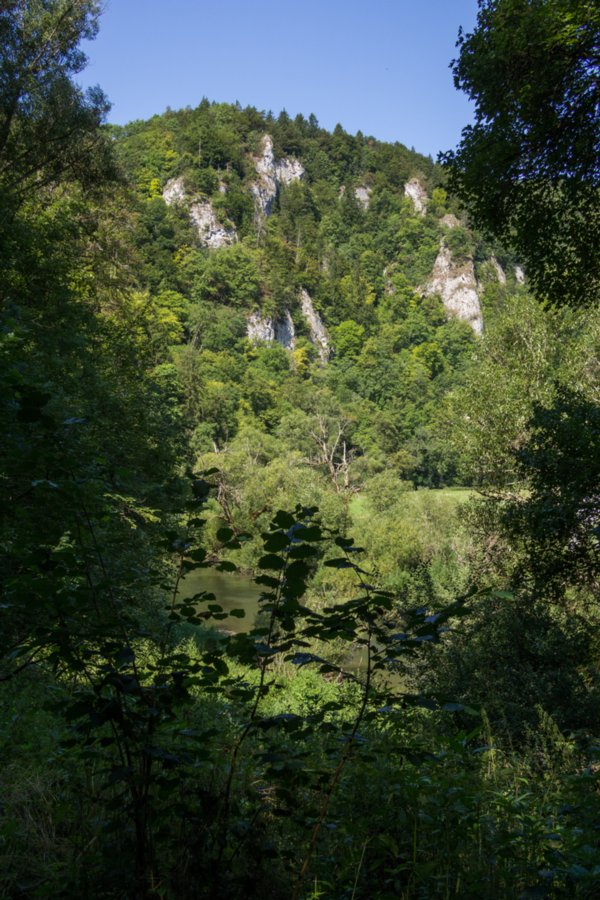 Blick zum Knopfmacherfelsen Wanderung im Oberen Donautal: Route: Start am Kloster Beuron - Knopfmacherfels - Jägerhaus (im Donautal) - Ziegelhütte (im Donautal) - Leibfelsen - Stiegelesfelsen - Knopfmacherfels - Kloster Beuron