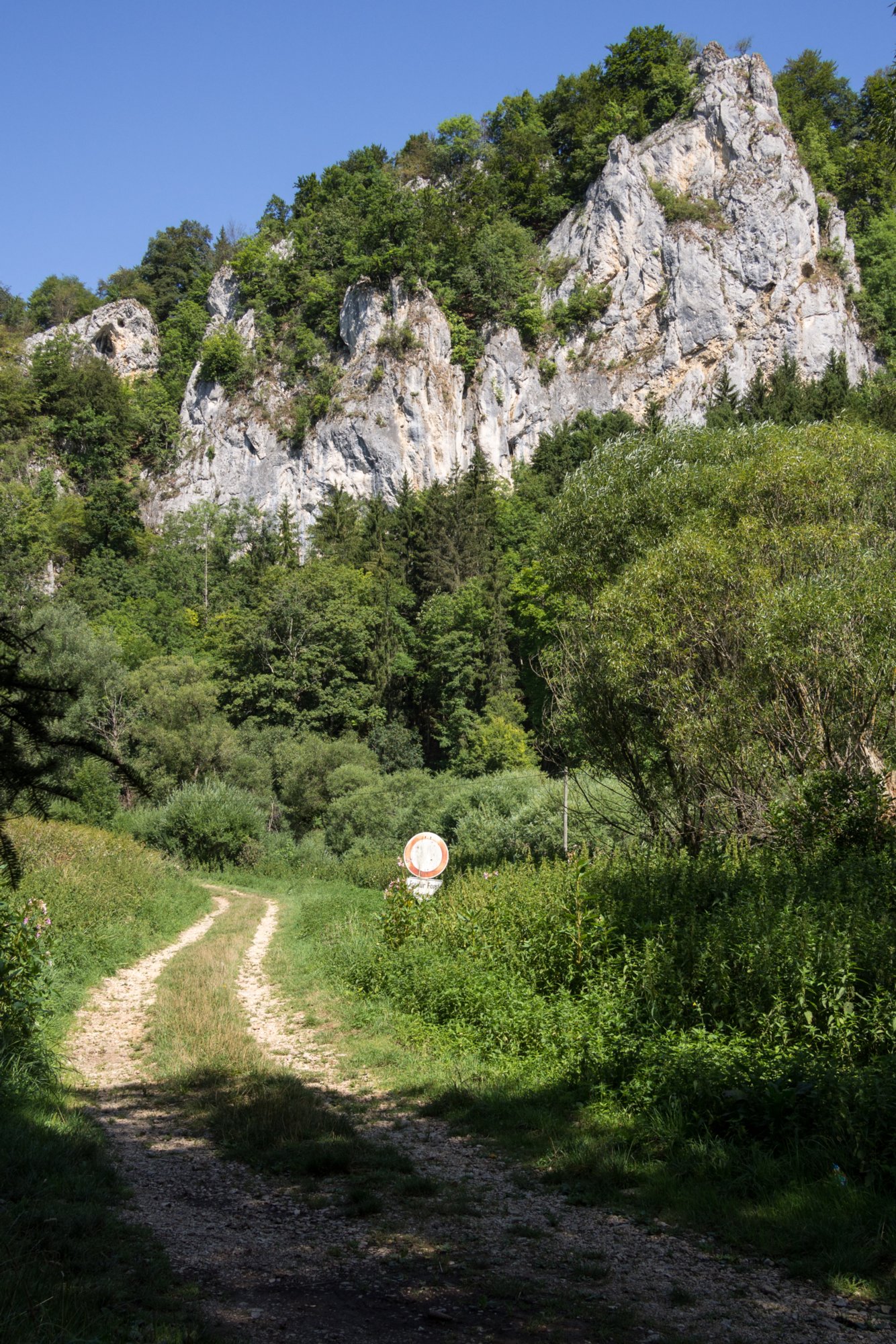 Donautal beim Jägerhaus Wanderung im Oberen Donautal: Route: Start am Kloster Beuron - Knopfmacherfels - Jägerhaus (im Donautal) - Ziegelhütte (im Donautal) - Leibfelsen - Stiegelesfelsen - Knopfmacherfels - Kloster Beuron