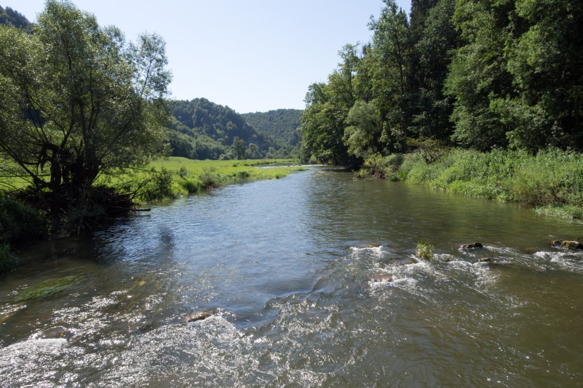 Donautal beim Jägerhaus Wanderung im Oberen Donautal: Route: Start am Kloster Beuron - Knopfmacherfels - Jägerhaus (im Donautal) - Ziegelhütte (im Donautal) - Leibfelsen - Stiegelesfelsen - Knopfmacherfels - Kloster Beuron