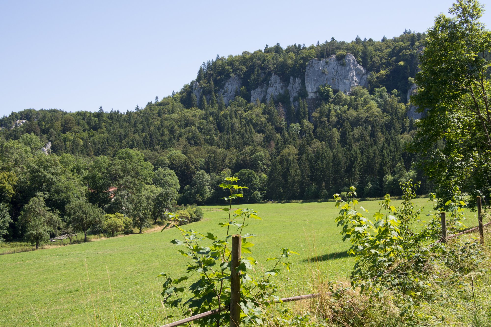 Felsen im Donautal bei der Ziegelhütte Wanderung im Oberen Donautal: Route: Start am Kloster Beuron - Knopfmacherfels - Jägerhaus (im Donautal) - Ziegelhütte (im Donautal) - Leibfelsen - Stiegelesfelsen - Knopfmacherfels - Kloster Beuron