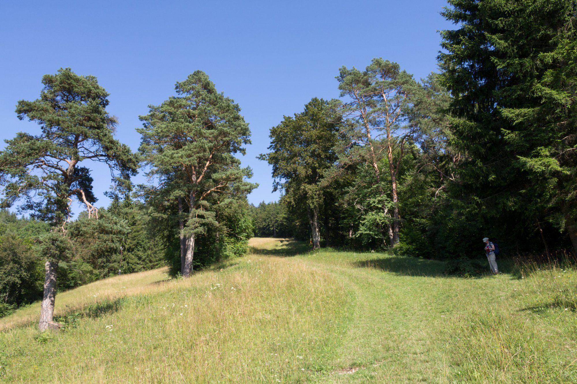 Auf dem Weg zum Laibfelsen Wanderung im Oberen Donautal: Route: Start am Kloster Beuron - Knopfmacherfels - Jägerhaus (im Donautal) - Ziegelhütte (im Donautal) - Leibfelsen - Stiegelesfelsen - Knopfmacherfels - Kloster Beuron