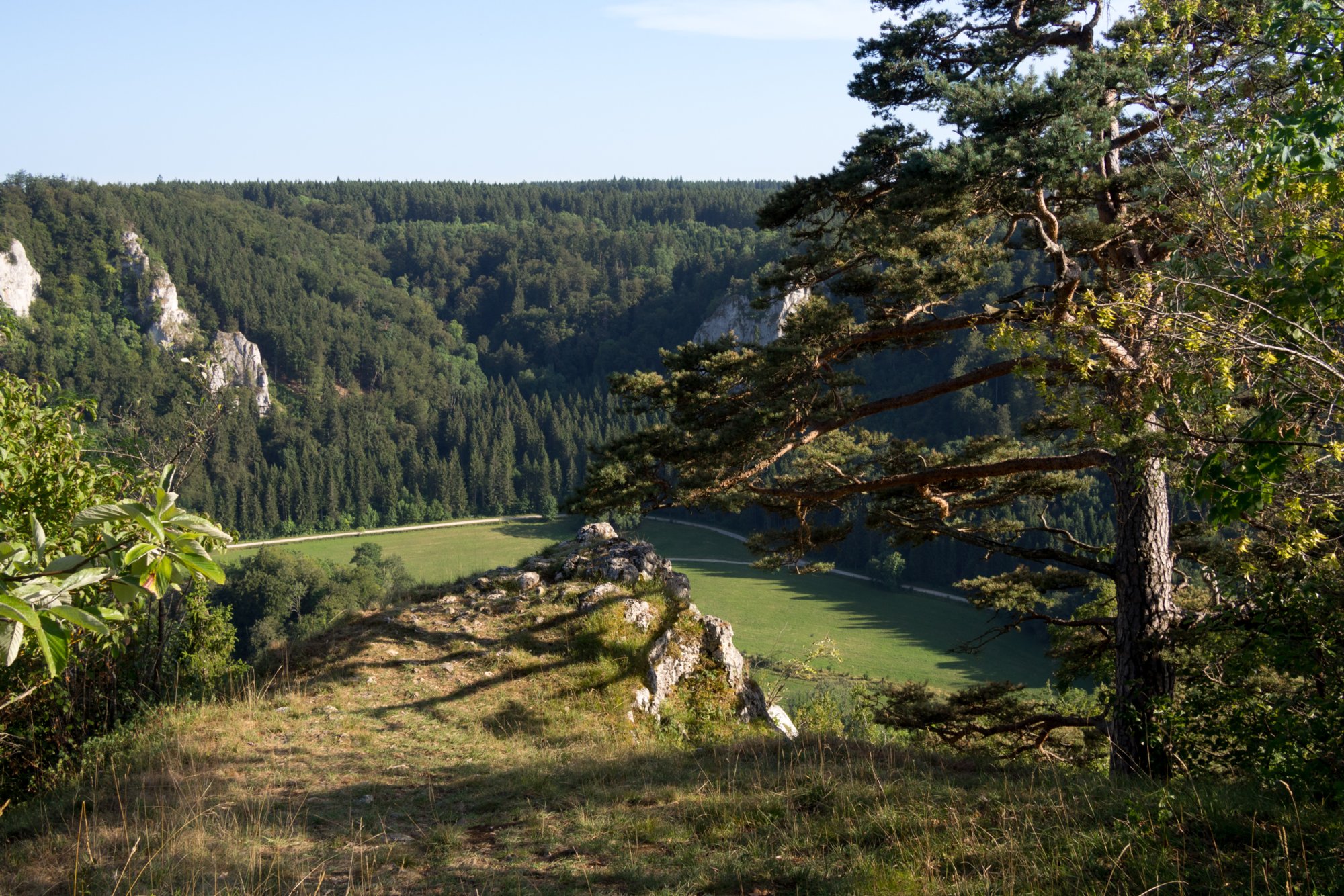 Stiegelesfelsen Wanderung im Oberen Donautal: Route: Start am Kloster Beuron - Knopfmacherfels - Jägerhaus (im Donautal) - Ziegelhütte (im Donautal) - Leibfelsen - Stiegelesfelsen - Knopfmacherfels - Kloster Beuron