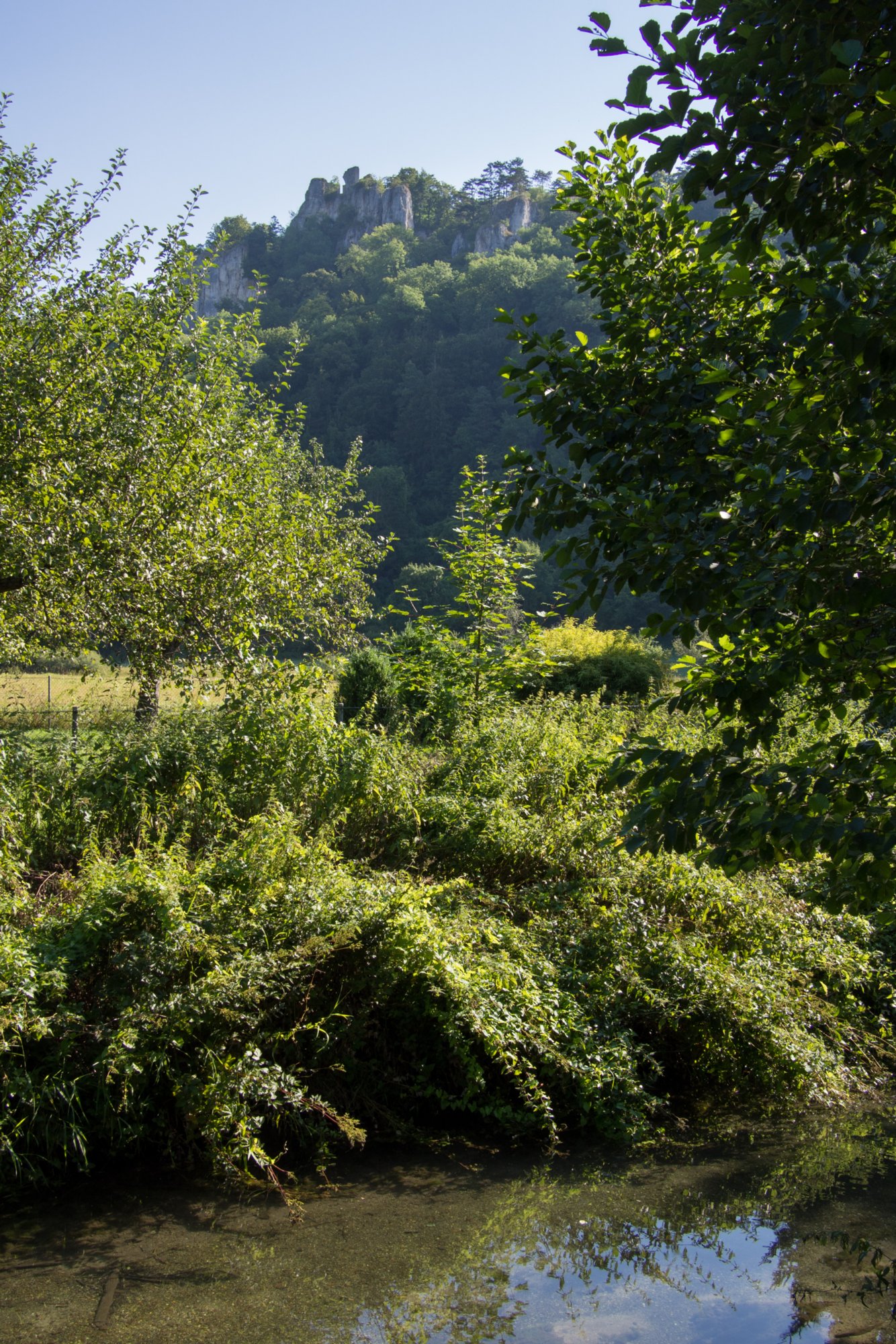 Blick zum Rusenschloss Wanderung von Blaubeuren Bahnhof zum Rusenschloss. Von dort über den Knoblauchfelsen zum Blaufelsen. Hinunter zur B28. Diese überquerend Aufstieg auf Teerweg bis zur Steigziegelhütte, da Abzweig nach links zum Landeplatz Seißen nicht gefunden. Entlang am Waldrand zur Wegmarkierung. Dieser folgend zur Günzelburg. Von dort zum Felsenlabyrinth und zur Küssenden Sau. Abstiefg zum Bahnhof. Mit dem Auto zum Blautopf.