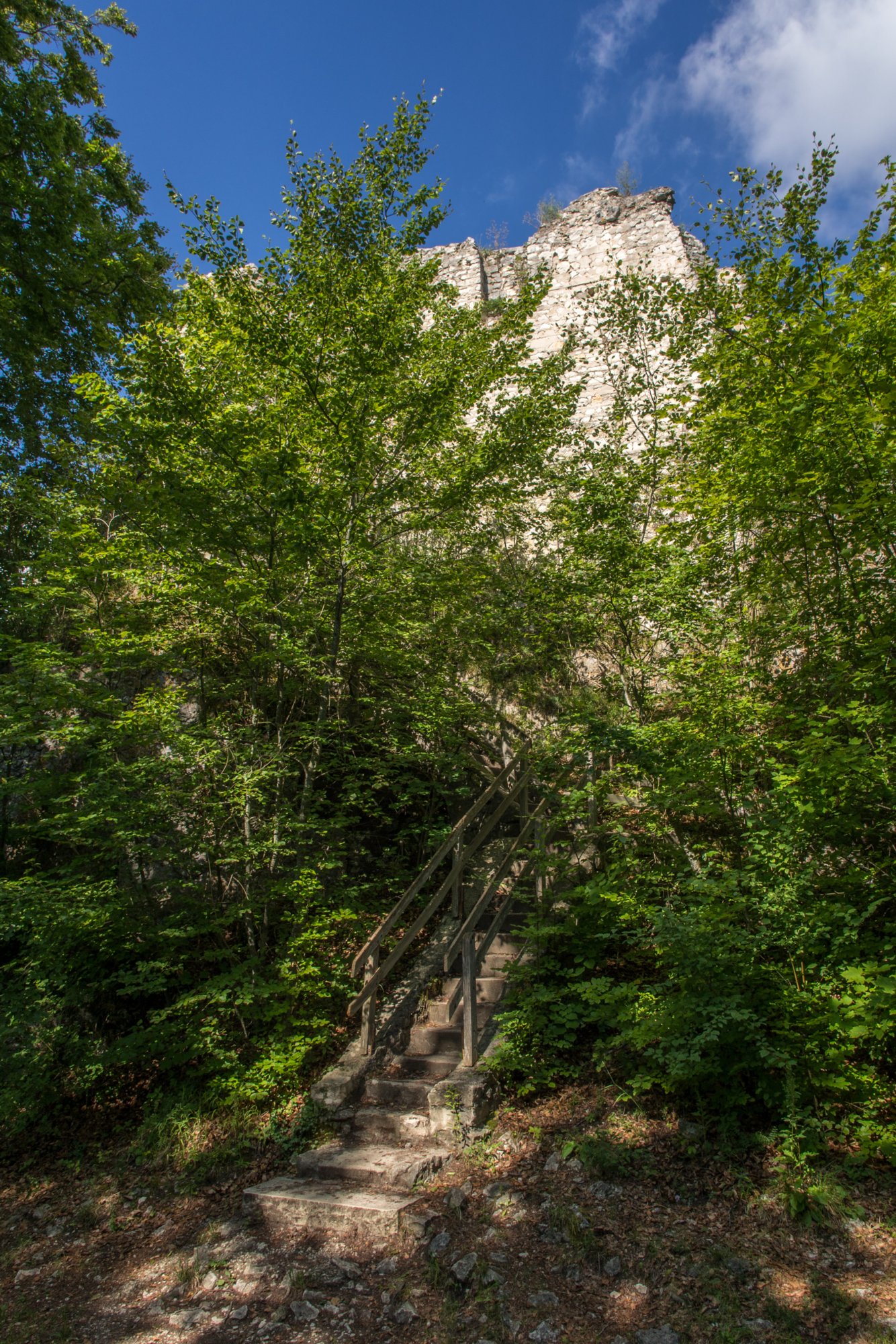 Auf dem Rusenschloss. Wanderung von Blaubeuren Bahnhof zum Rusenschloss. Von dort über den Knoblauchfelsen zum Blaufelsen. Hinunter zur B28. Diese überquerend Aufstieg auf Teerweg bis zur Steigziegelhütte, da Abzweig nach links zum Landeplatz Seißen nicht gefunden. Entlang am Waldrand zur Wegmarkierung. Dieser folgend zur Günzelburg. Von dort zum Felsenlabyrinth und zur Küssenden Sau. Abstiefg zum Bahnhof. Mit dem Auto zum Blautopf.