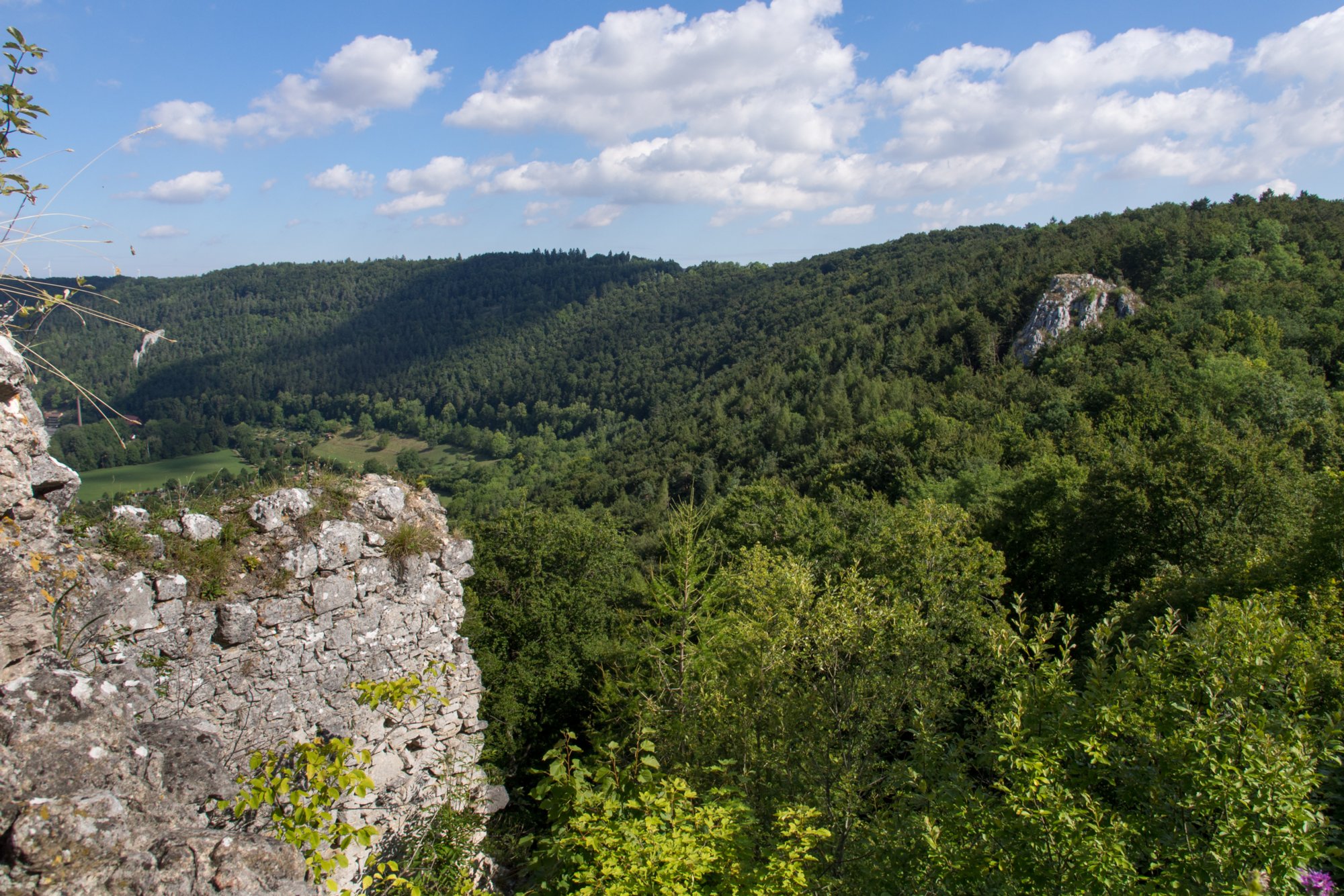 Auf dem Rusenschloss. Wanderung von Blaubeuren Bahnhof zum Rusenschloss. Von dort über den Knoblauchfelsen zum Blaufelsen. Hinunter zur B28. Diese überquerend Aufstieg auf Teerweg bis zur Steigziegelhütte, da Abzweig nach links zum Landeplatz Seißen nicht gefunden. Entlang am Waldrand zur Wegmarkierung. Dieser folgend zur Günzelburg. Von dort zum Felsenlabyrinth und zur Küssenden Sau. Abstiefg zum Bahnhof. Mit dem Auto zum Blautopf.