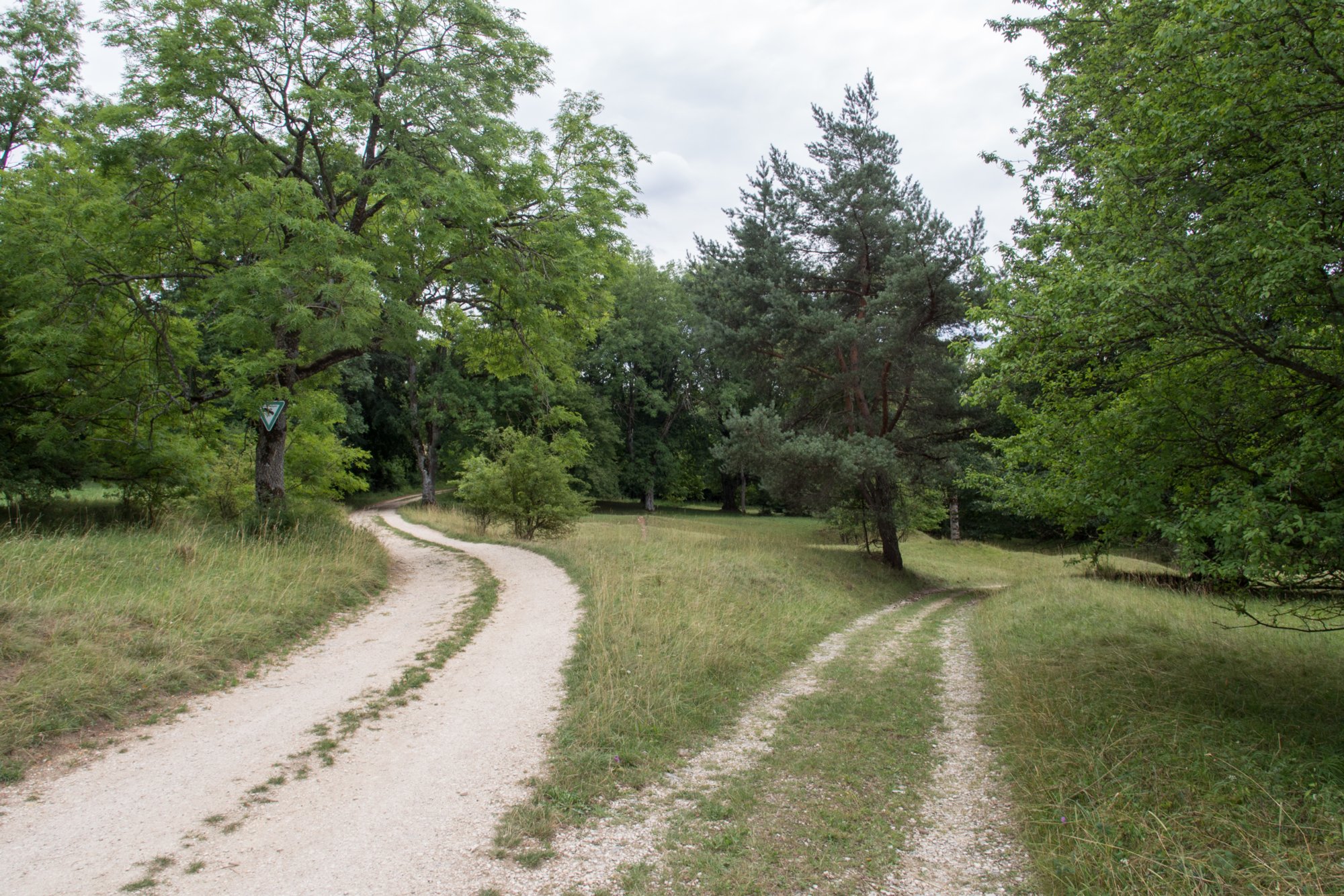 Auf dem Weg zur B28. Wanderung von Blaubeuren Bahnhof zum Rusenschloss. Von dort über den Knoblauchfelsen zum Blaufelsen. Hinunter zur B28. Diese überquerend Aufstieg auf Teerweg bis zur Steigziegelhütte, da Abzweig nach links zum Landeplatz Seißen nicht gefunden. Entlang am Waldrand zur Wegmarkierung. Dieser folgend zur Günzelburg. Von dort zum Felsenlabyrinth und zur Küssenden Sau. Abstiefg zum Bahnhof. Mit dem Auto zum Blautopf.