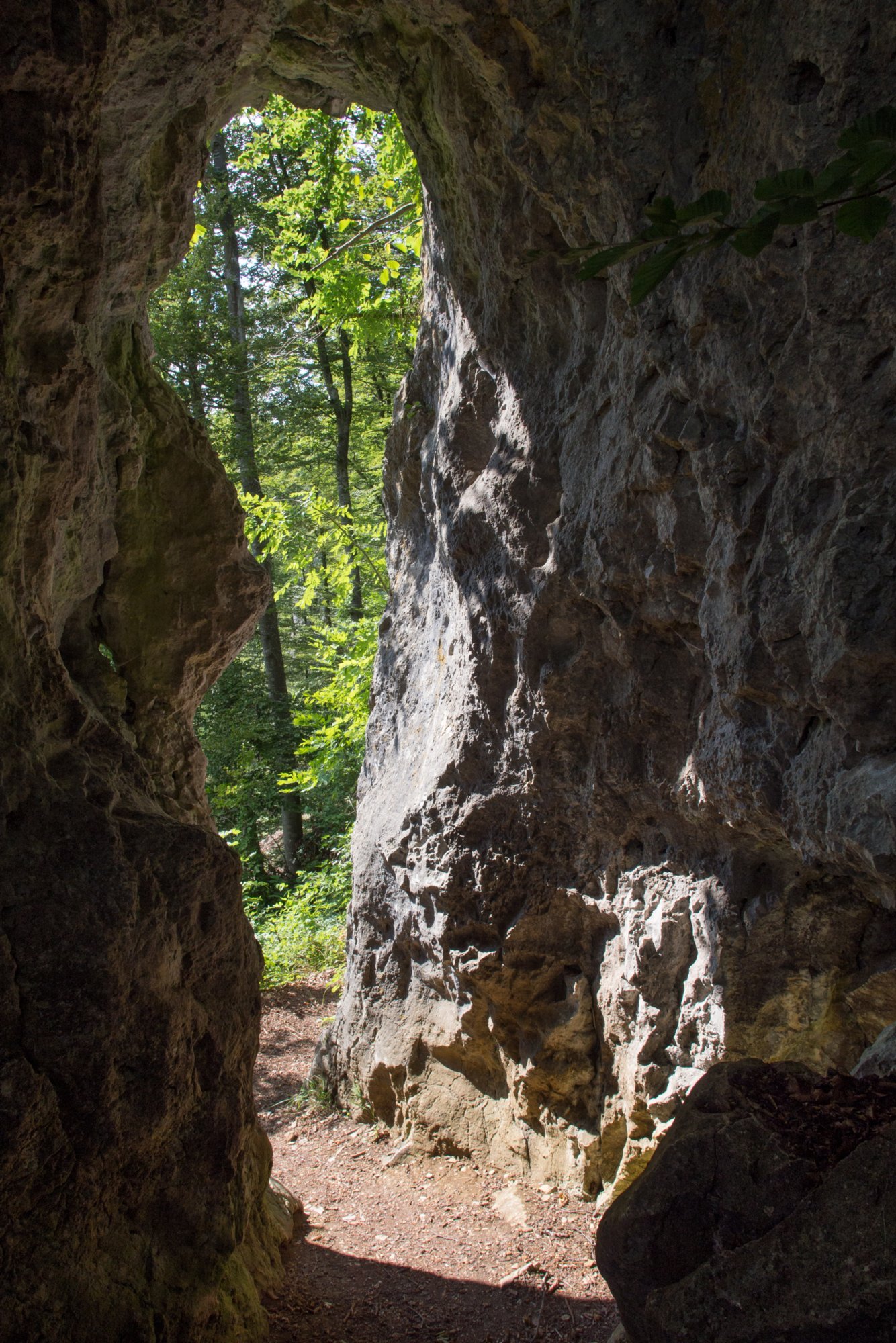 Felsenlabyrinth Wanderung von Blaubeuren Bahnhof zum Rusenschloss. Von dort über den Knoblauchfelsen zum Blaufelsen. Hinunter zur B28. Diese überquerend Aufstieg auf Teerweg bis zur Steigziegelhütte, da Abzweig nach links zum Landeplatz Seißen nicht gefunden. Entlang am Waldrand zur Wegmarkierung. Dieser folgend zur Günzelburg. Von dort zum Felsenlabyrinth und zur Küssenden Sau. Abstiefg zum Bahnhof. Mit dem Auto zum Blautopf.