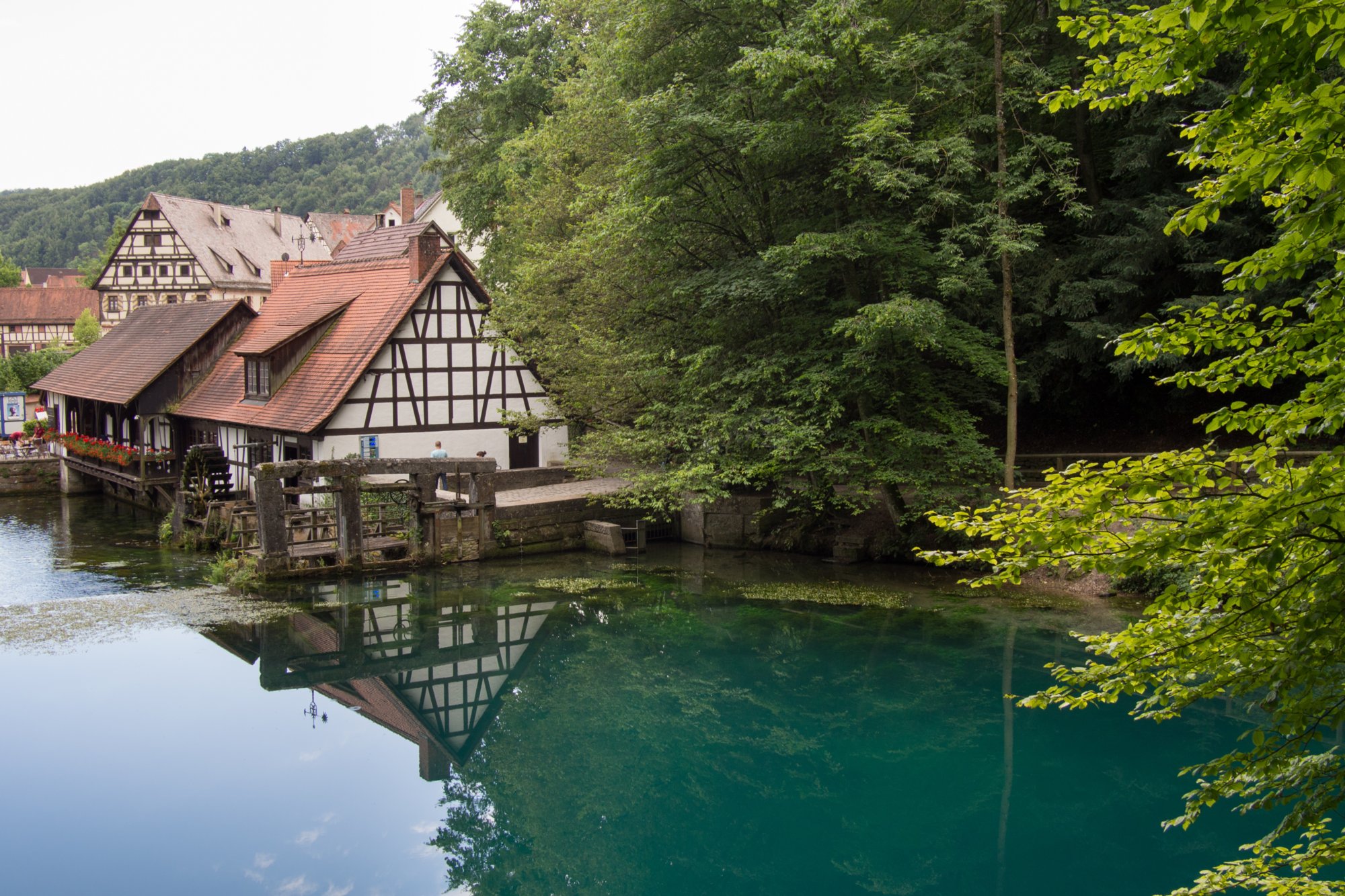 Spiegelungen am Blautopf Wanderung von Blaubeuren Bahnhof zum Rusenschloss. Von dort über den Knoblauchfelsen zum Blaufelsen. Hinunter zur B28. Diese überquerend Aufstieg auf Teerweg bis zur Steigziegelhütte, da Abzweig nach links zum Landeplatz Seißen nicht gefunden. Entlang am Waldrand zur Wegmarkierung. Dieser folgend zur Günzelburg. Von dort zum Felsenlabyrinth und zur Küssenden Sau. Abstiefg zum Bahnhof. Mit dem Auto zum Blautopf.