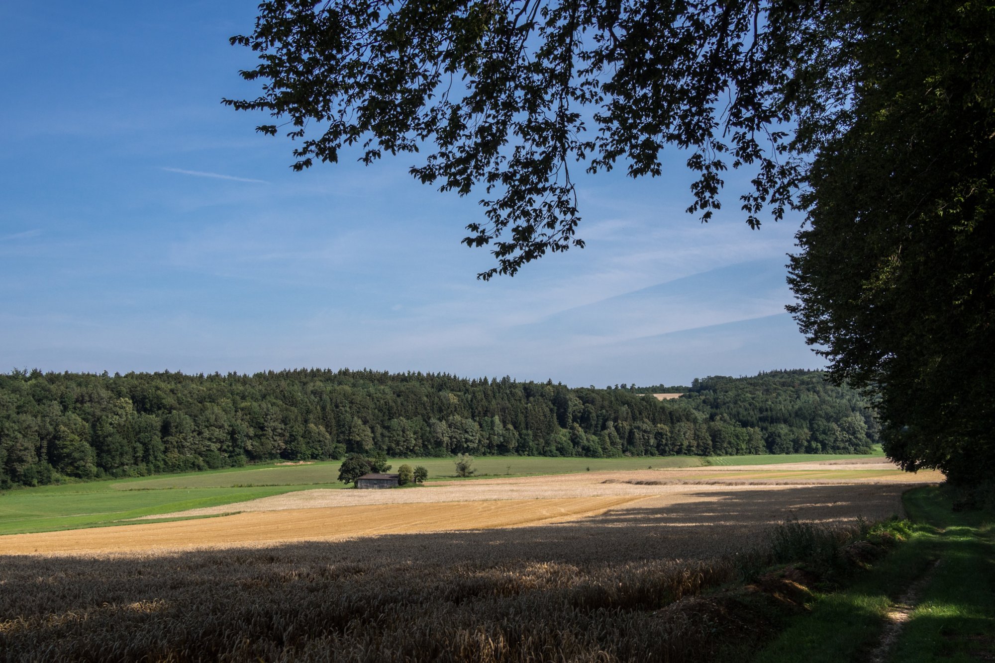 Weg von Setzingen ins Lonetal Wanderung mit Route: Setzingen - Lonetal m. Bocksteinhöhle (nur Andreas, da zu steiler Aufstieg ohne Stecken), Hohlenstein - Lindenau (Tee-Kuchen-Bier-Pause) - Setzingen