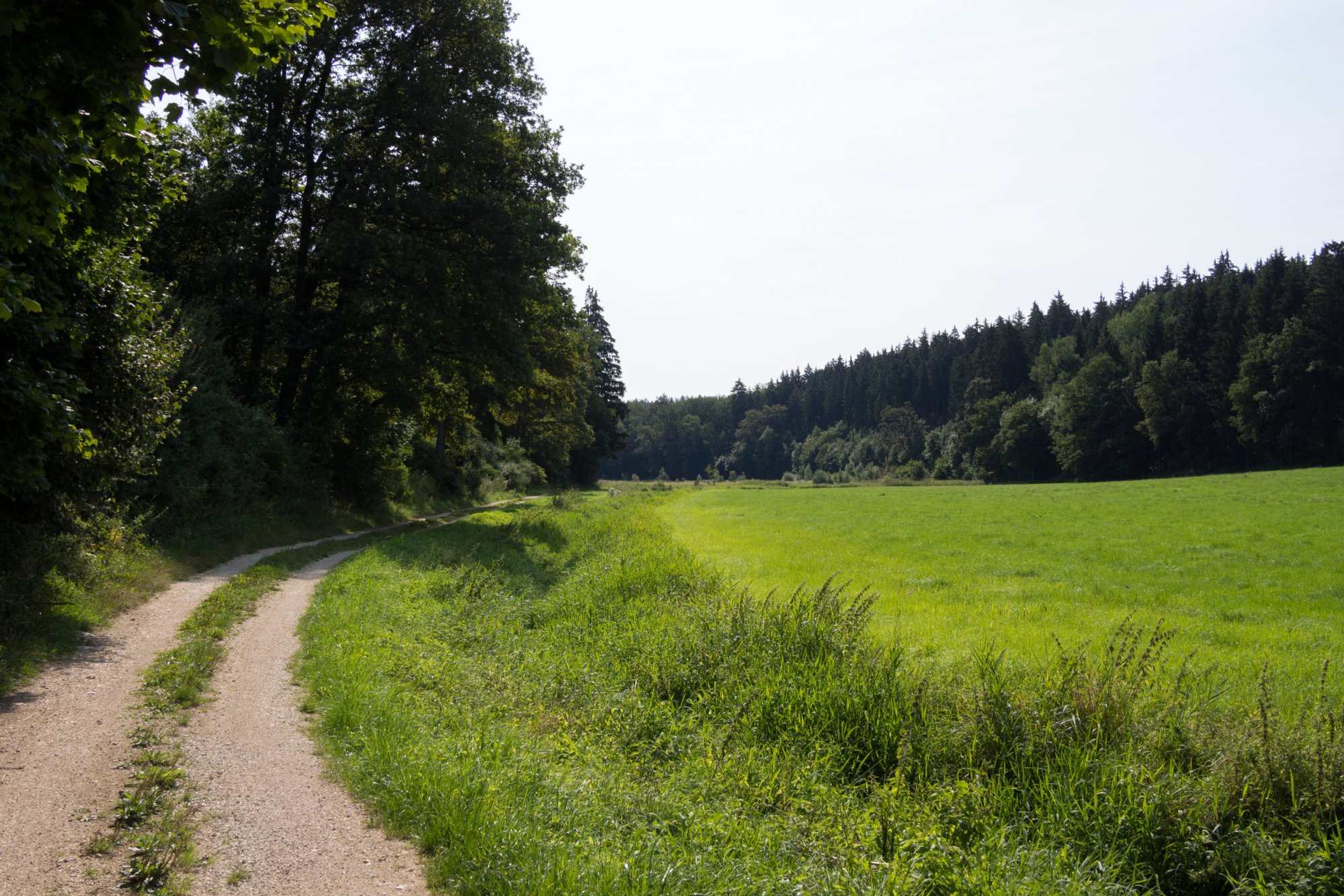 Im Lonetal Wanderung mit Route: Setzingen - Lonetal m. Bocksteinhöhle (nur Andreas, da zu steiler Aufstieg ohne Stecken), Hohlenstein - Lindenau (Tee-Kuchen-Bier-Pause) - Setzingen