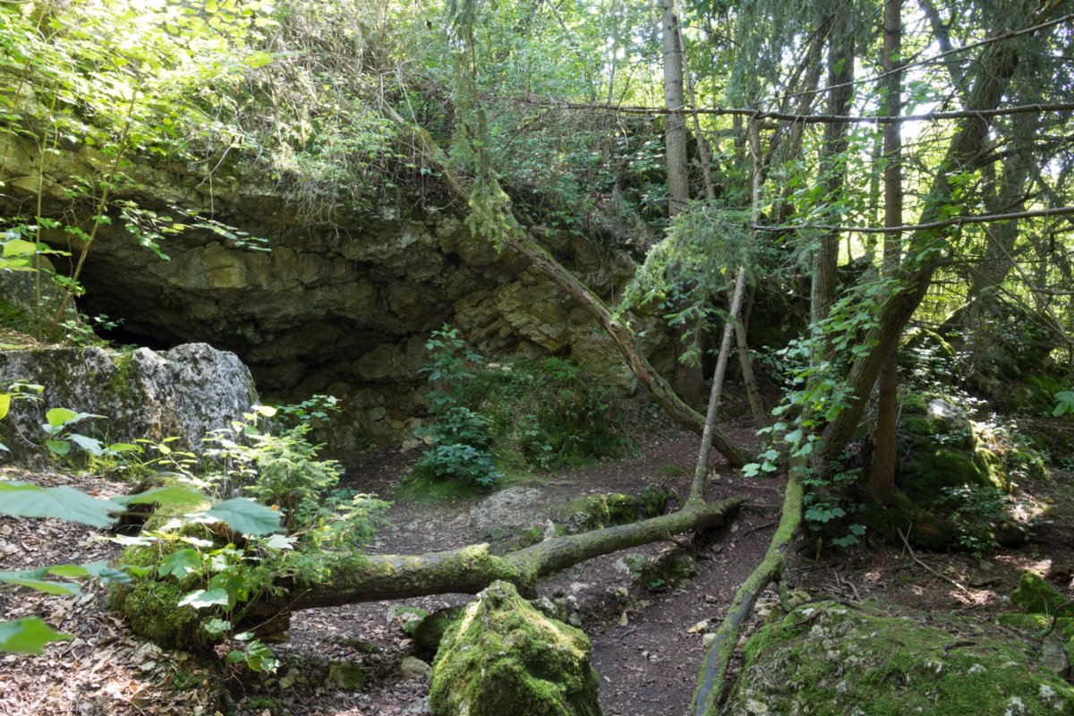 Bocksteinhöhle Wanderung mit Route: Setzingen - Lonetal m. Bocksteinhöhle (nur Andreas, da zu steiler Aufstieg ohne Stecken), Hohlenstein - Lindenau (Tee-Kuchen-Bier-Pause) - Setzingen