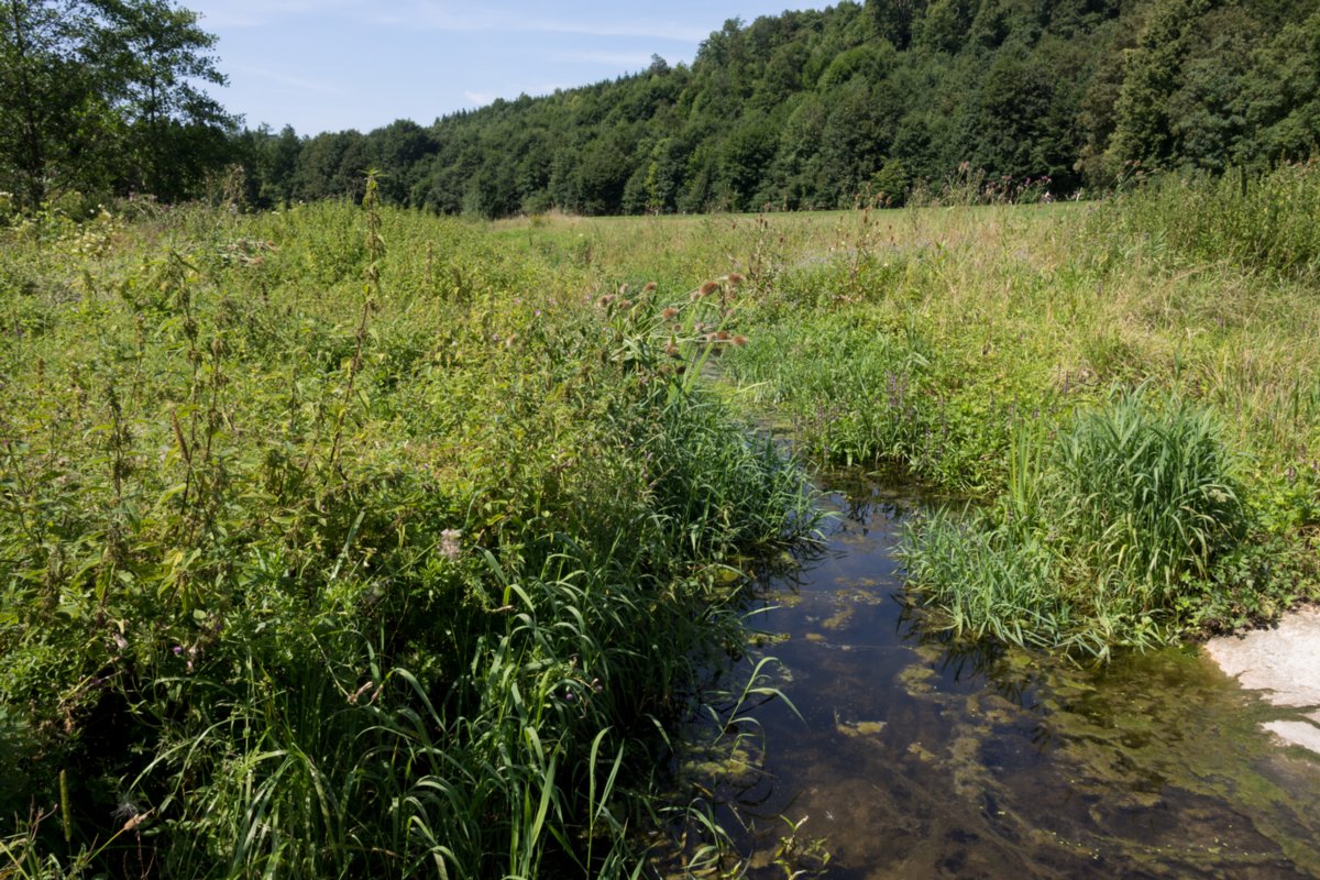 Im Lonetal Wanderung mit Route: Setzingen - Lonetal m. Bocksteinhöhle (nur Andreas, da zu steiler Aufstieg ohne Stecken), Hohlenstein - Lindenau (Tee-Kuchen-Bier-Pause) - Setzingen