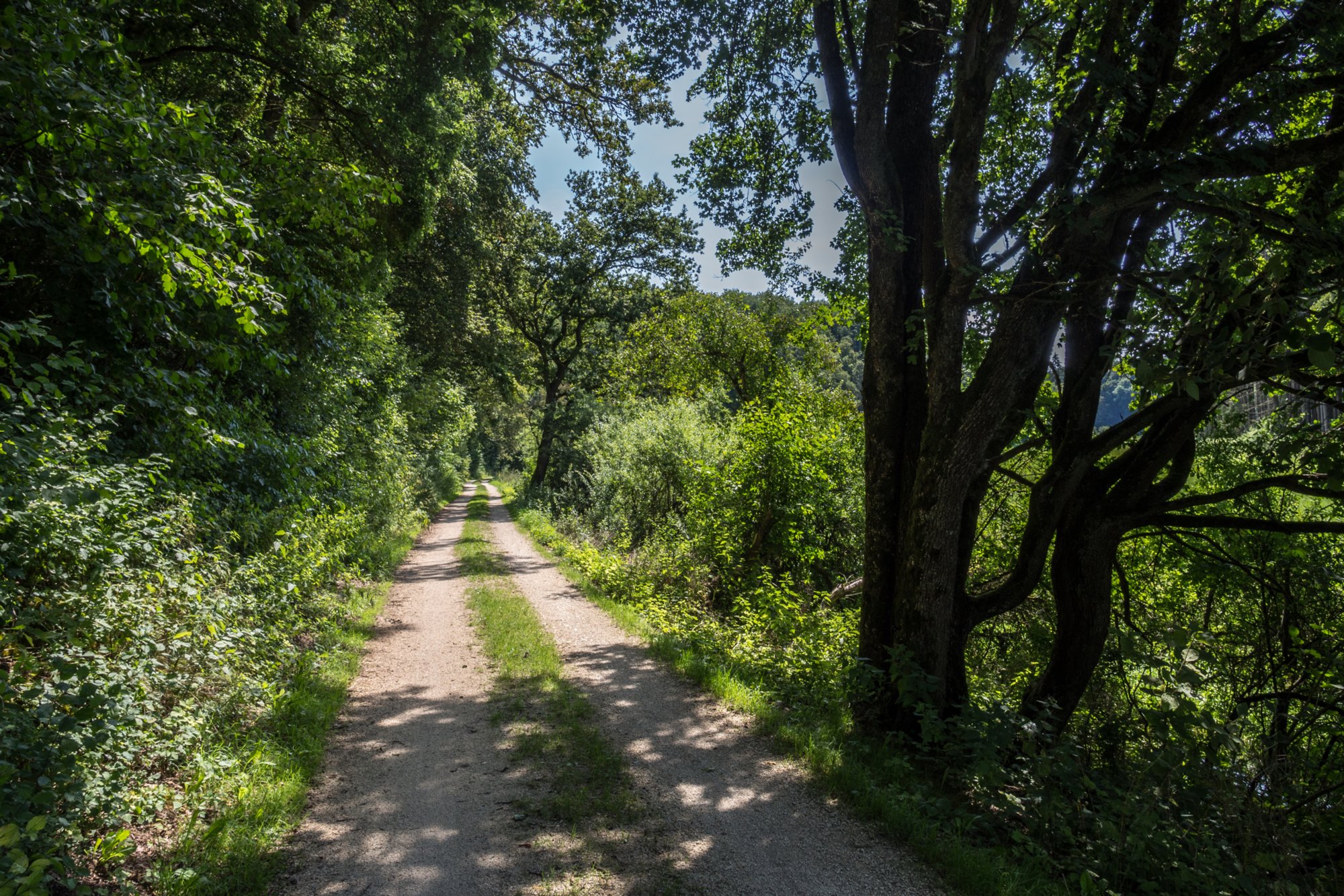 Im Lonetal Wanderung mit Route: Setzingen - Lonetal m. Bocksteinhöhle (nur Andreas, da zu steiler Aufstieg ohne Stecken), Hohlenstein - Lindenau (Tee-Kuchen-Bier-Pause) - Setzingen