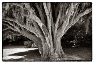 20100823_italien_reggia_caserta_072-bearb-bw