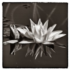 20100823_italien_reggia_caserta_142-Bearbeitet-bearb-bw