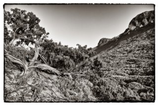 20100824_italien_torre_paola_115-bearb-bw