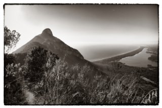 20100825_italien_monte_circeo_072-Bearbeitet-bearb-bw