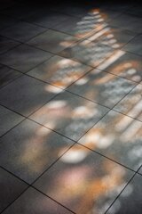 DSC06249_edit