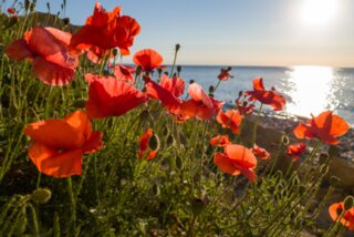 20220730_unbenannt_062