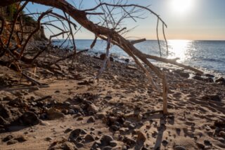 20220730_unbenannt_820