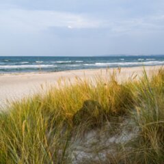 09 Lietzow Glowe Schaabe